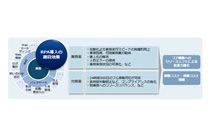 gDY͂コRPApRTeBO